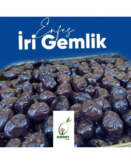 GEMLİK ZEYTİN